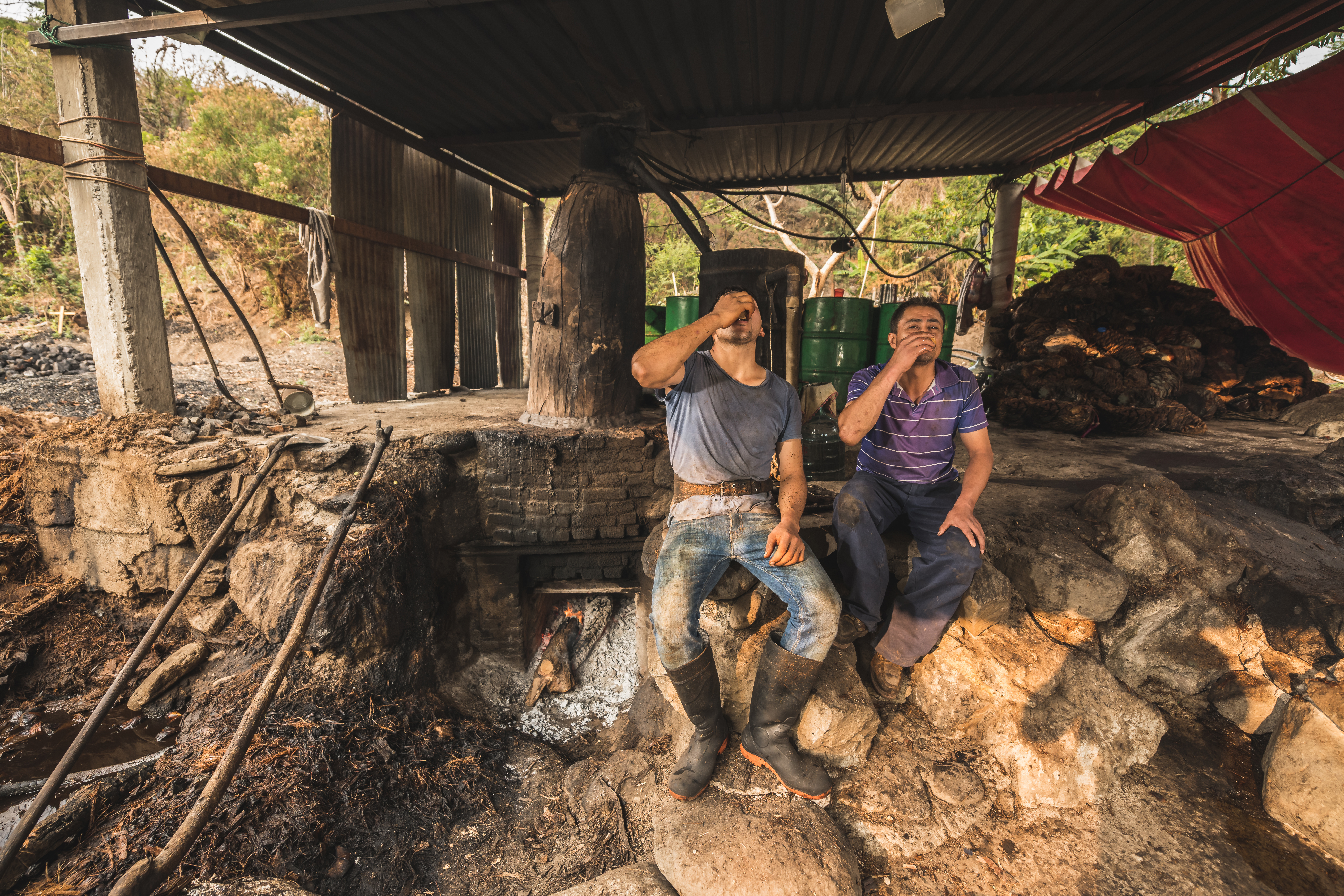 Mezcaleros en el palenque
